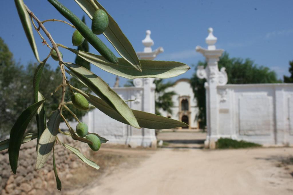 Masseria Maccarone Fasano Zewnętrze zdjęcie