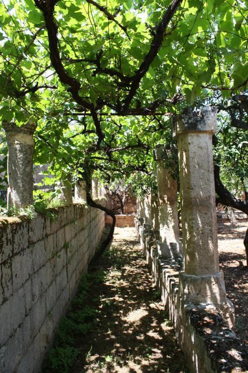 Masseria Maccarone Fasano Zewnętrze zdjęcie