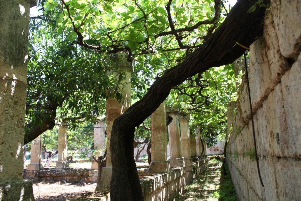Masseria Maccarone Fasano Zewnętrze zdjęcie