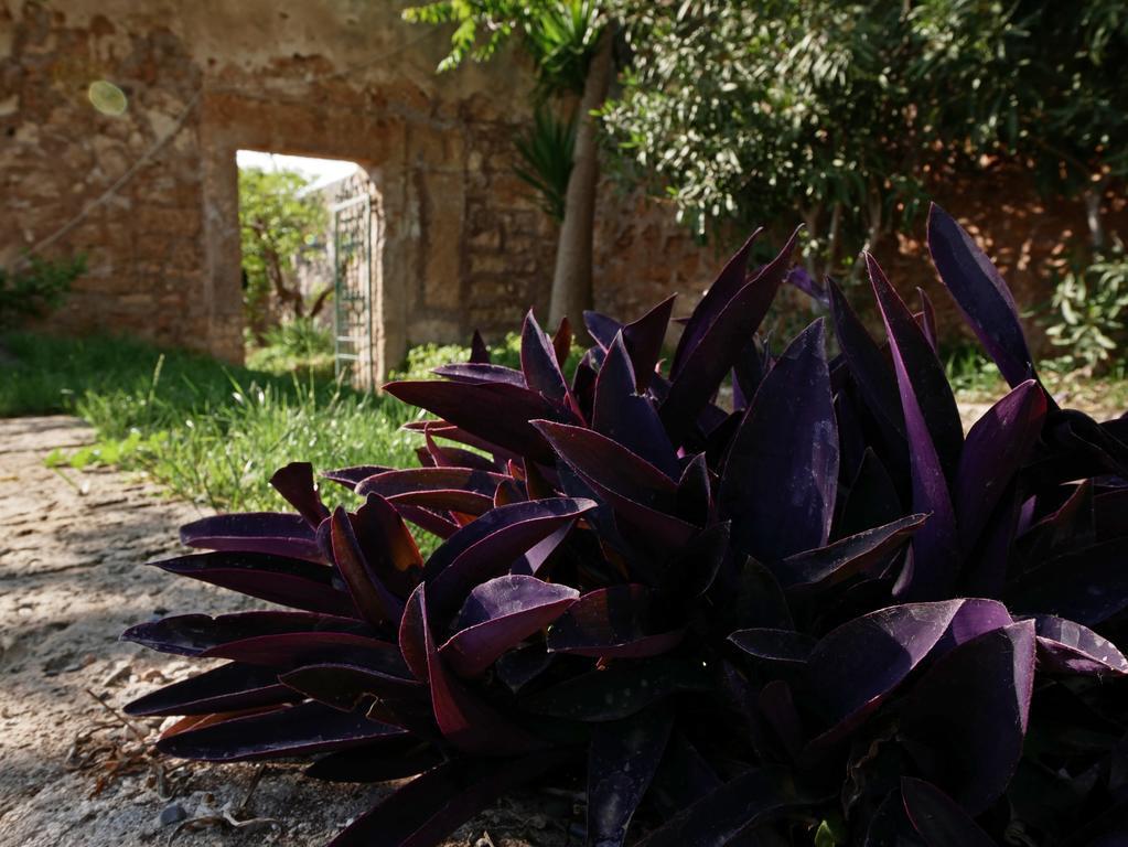 Masseria Maccarone Fasano Zewnętrze zdjęcie