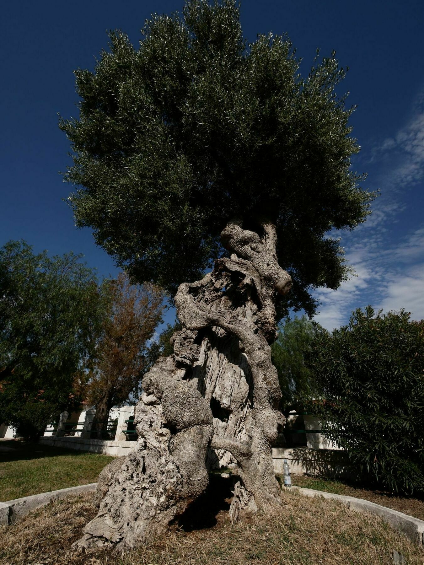 Masseria Maccarone Fasano Zewnętrze zdjęcie